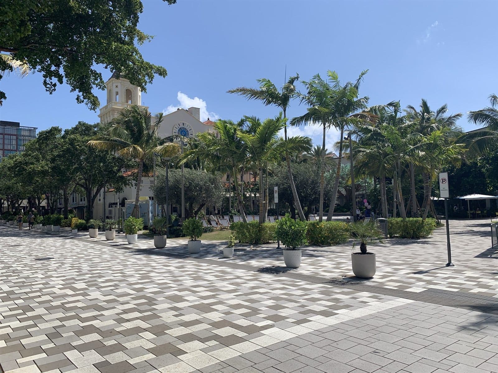 The WPB Green Market: A Saturday Morning Ritual