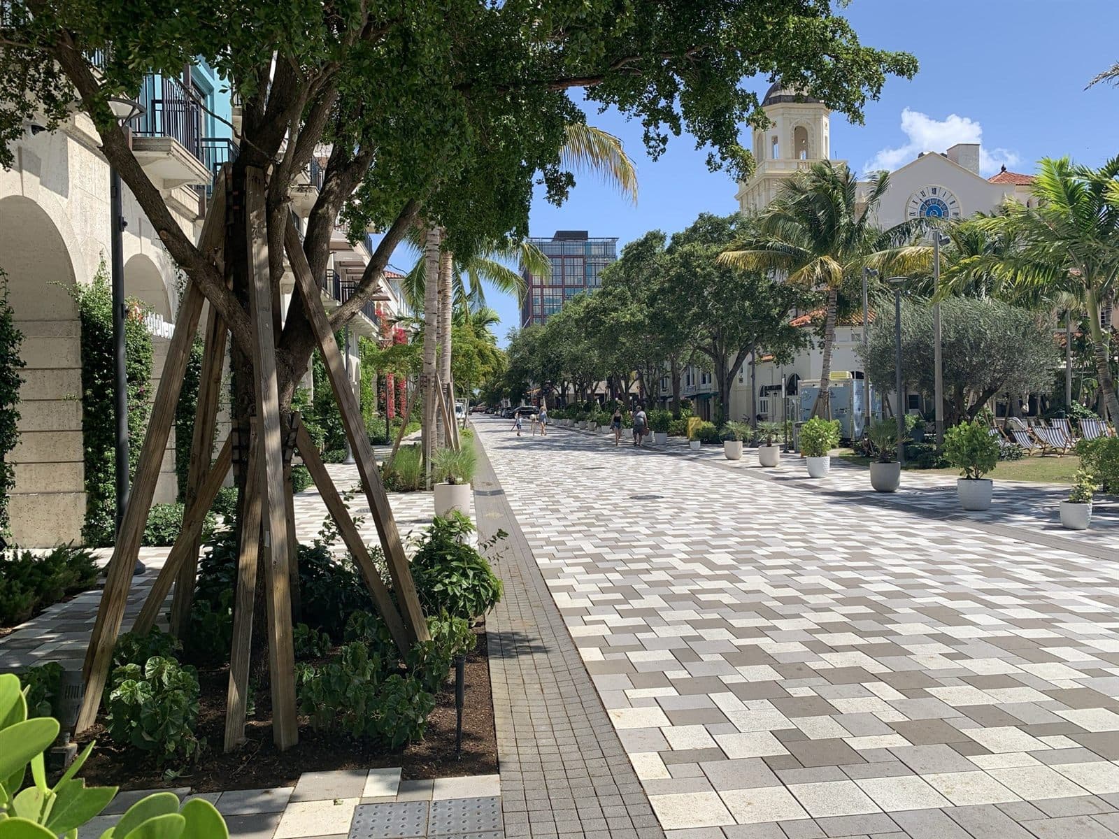 Dog-Friendly West Palm Beach: A Condo Owner's Guide